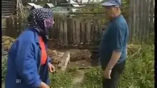 Напни