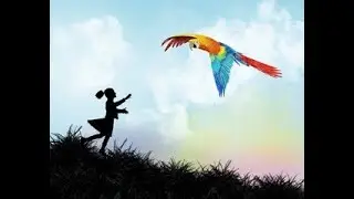 MORE THAN ALL THE SKY