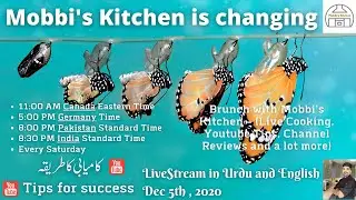 Live Stream in Urdu and English Dec 5, 2020 | YouTube Tips 2020