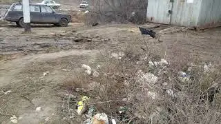 Станья. Дорога 21 века...