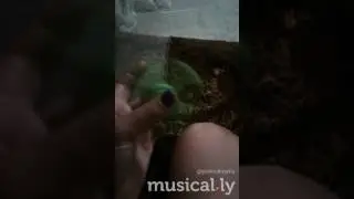 😊☺😀