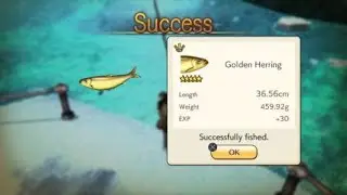 CS(x-mas event) Golden Herring
