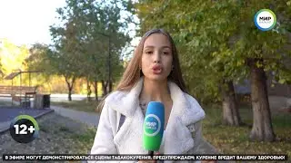 Запрет на цирк с животными: мнения улан-удэнцев (2023) FHD