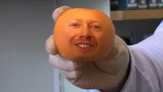 [YTP] Mark Seville Introduces The Sabine Orange