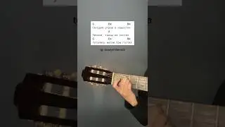 #монеточка