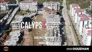 CALYPSO 3/2022