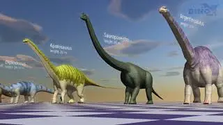 Long-Necked clans size comparison