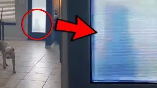10 Escalofriantes Momentos Captados en la Vida REAL