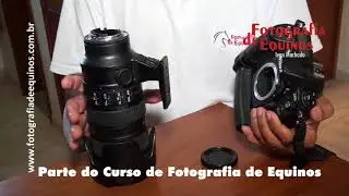 O Curso de Fotografia de Equinos com o Fotógrafo Ivan Machado