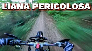 A BRANCH CATCHED MY NECK - FEAR ON ENDURO