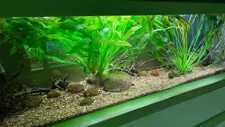 Aquarium at the zoo