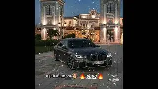 Новые цыганские