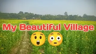 My Beautiful Village.