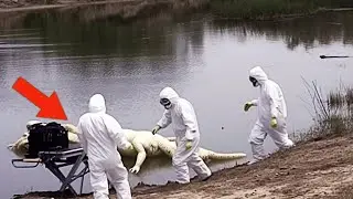 Камера Дрона Сняла Такое, Во Что Невозможно Поверить!