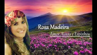 Rosa Madeira  ___   Amor, Rosas e Espinhos