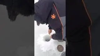 Налим. Лов Налима, зима 2024. #рыбалка #карелия #зима