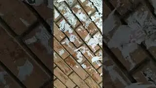 Лайф стайл на Студии