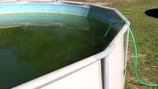 Intex Metal Frame Pool Cleanup Year 2 with Intex Metal Frame Pool