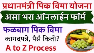 असा भरा फळ पिक विमा 2024 ऑनलाईन फॉर्म | Fal Pik Vima 2024 Online Apply | Fal Pik Vima Kasa Bharava