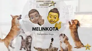 MelinKota Dangerous Dogs
