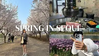 getting back on track | SPRING IN SEOUL, Musinsa Haul, being honest | VLOG (Kor/Eng)