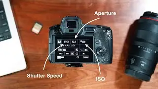 5 Tips to Improve Your Photography