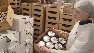 Les Glaces de l’Izard, des nouvelles de l’aventure givrée de 4 passionnés
