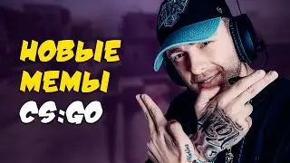 Новые CS:GO мемы | Buster, Егор Крид, woxic | ТОП моменты на Twitch