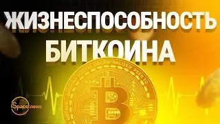 Bitcoin и понятие Liveliness или оценка жизнеспособности биткоина.