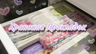Хранение Прокладок | ВСЯ моя Коллекция 🤩
