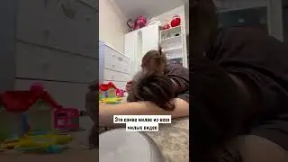 Ну правда ведь? Милое видео 