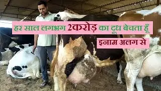 हर साल लगभग 2 करोड़ का दूध बेचता हूँ | dairy farming in india
