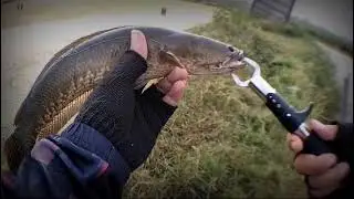 jangankan bikin video lagi..  mancing nya aja udah segen-segenan..  hufft 😔