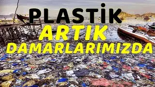 Plastik artık kanda, ceninde ve damarlarımızda.