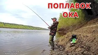 ПОПЛАВОК на ОКЕ это много поклёвок! Рыбалка в середине мая.