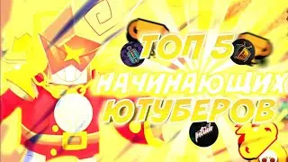 топ 5 лучших начинаюших ютуберов по бралв старс