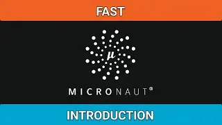 Micronaut - As Fast As Possible