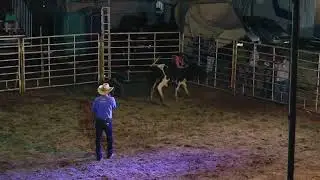 CORTES DO RODEIO DERRUBA DE BOI PARTE 4