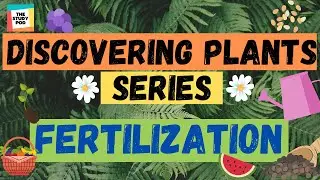 FERTILIZATION | DISCOVERING PLANTS SERIES | Part 4 | Science | The Study Pod