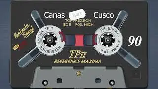 MUSICA DE RECUERDO - VICUÑITA - AMIGOS DE CANAS