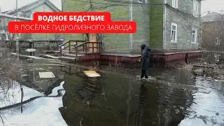 Водное бедствие в поселке Гидролизного завода