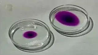 Experiments in physics. Diffusion in liquids