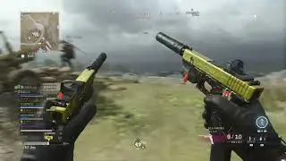 Call of Duty: Warzone - M13 (SIG MCX) and Golden X16 (Glock 21)