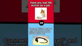 Would you rather?