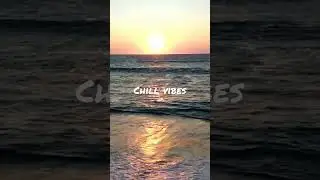 Chill Vibes