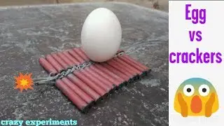 Experiment:- 50 crackers vs Egg | Amazing crazy experiments/अंडा और दिवाली बम