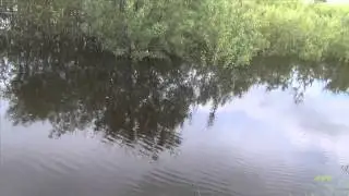 ДДТ - Это всё...