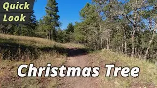 Quick Look: Christmas Tree Trail Hike - Flagstaff, Arizona