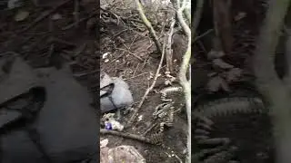 На позиціях 