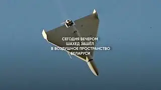 ШАХЕД ЗАЛЕТЕЛ В БЕЛАРУСЬ 